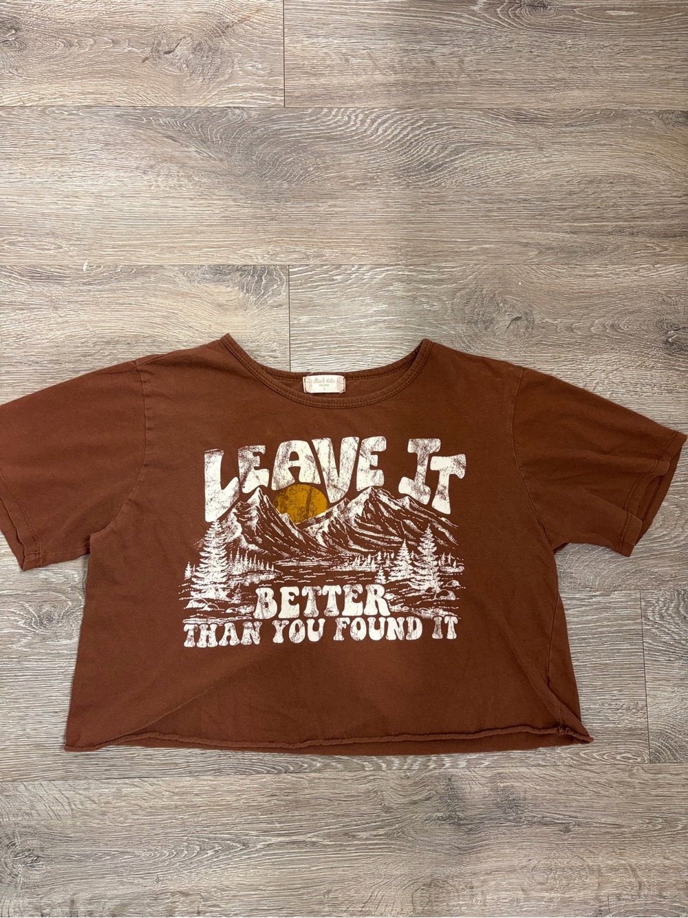 Altar'd State Brown Graphic Crop Tee with Yellow Sun